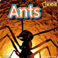 National Geographic Kids - Ants