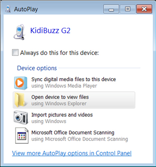 Screen: AutoPlay window on PC