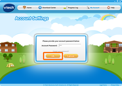 Account Password input