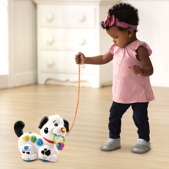 pull and sing puppy