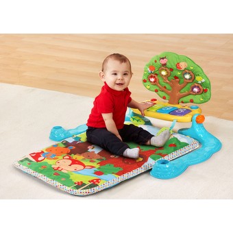 vtech baby gym