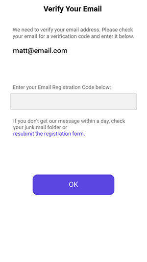 Show Email Verify Page, with email address